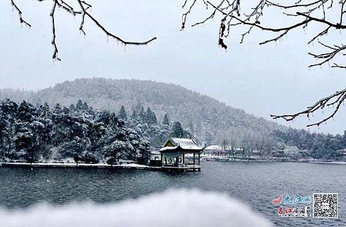 看虎年春雪的诗意表达