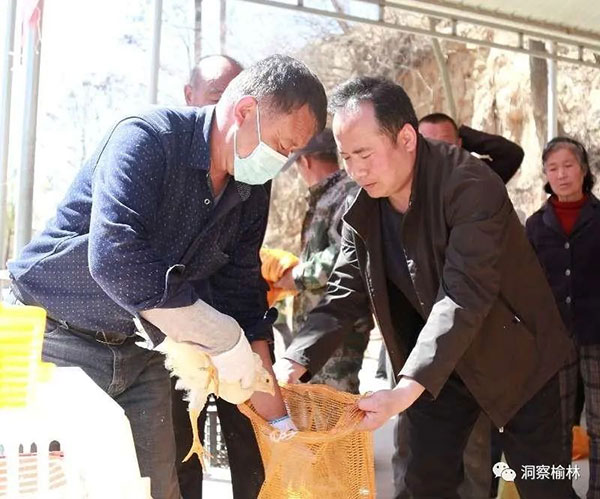 微信图片_20220415100151.jpg