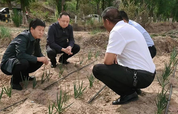 微信图片_20220615110326.jpg