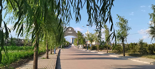 图片1.jpg