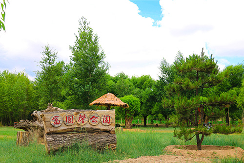 元大滩村伙场口袋公园--白冬摄.jpg