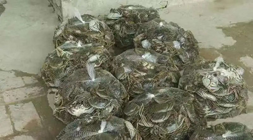 微信图片_20220908104256.jpg