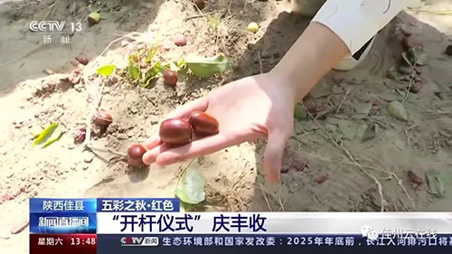 微信图片_20220926094509.jpg