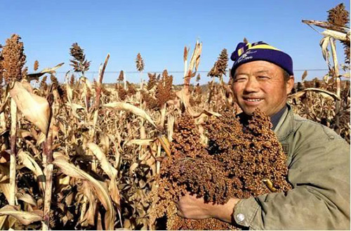 微信图片_20221021110436.jpg