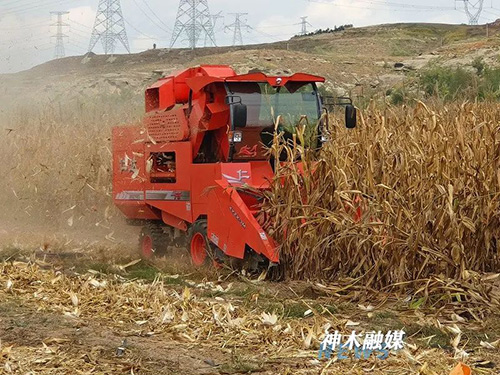微信图片_20221026144857.jpg