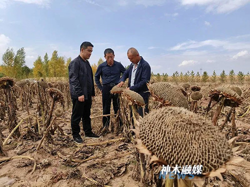 微信图片_20221026144901.jpg