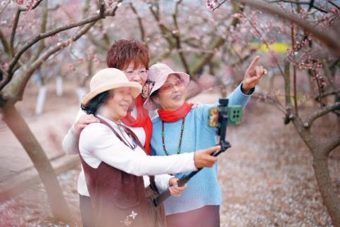 杏花村赏花踏春客流火爆 以花为媒助力乡村振兴