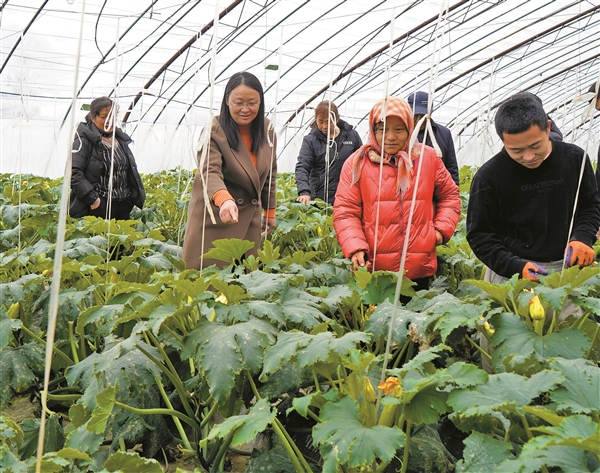 耕耘在希望的田野上  —— 记“全国巾帼建功标兵”、寿阳县现代农业产业发展中心高级农艺师弓秀琴