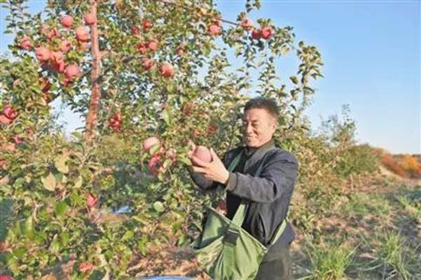 微信图片_20230404103806.jpg