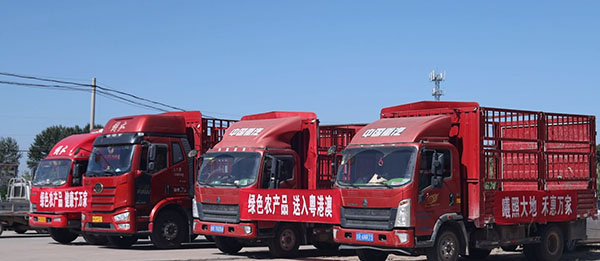 QQ图片20230828095340.jpg