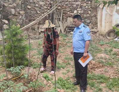 图片4.jpg