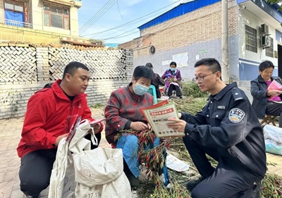 图片2.jpg