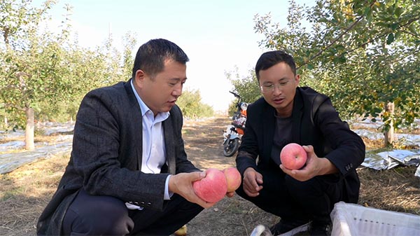 图片3.jpg