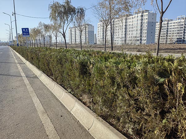整治后2.jpg