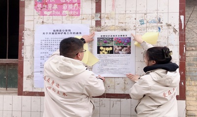 图片3.jpg