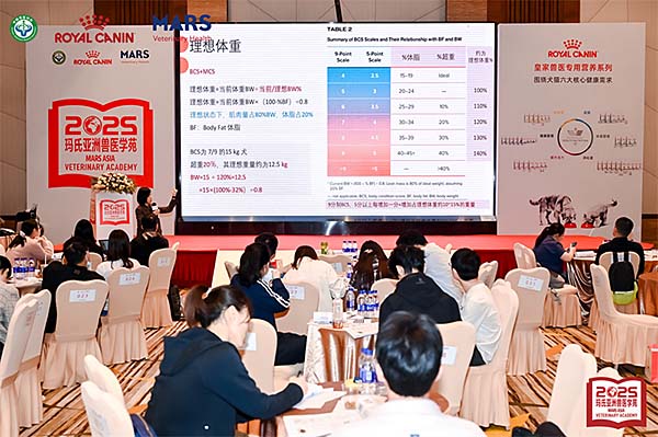 1infvp3q7t6g1pkpe4.jpg