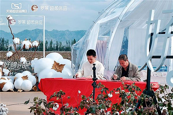 下载 (4).jpg