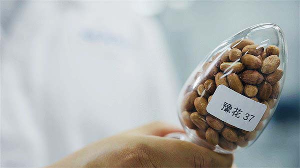 C2.jpeg