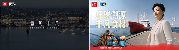从源头到食碗：杨澜跨越7000公里，探寻渴望