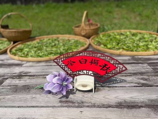 微信图片_20260823142831_149_90.jpg
